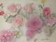 Old Board Of Original Drawings Botanical Flower Studies Signed (5)