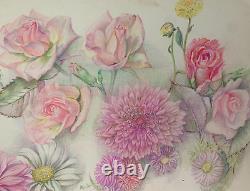 Old Board of Original Drawings Botanical Flower Studies Signed (5)