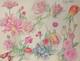 Old Board Of Original Drawings Botanical Flower Studies Signed (6)