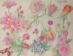 Old Board of Original Drawings Botanical Flower Studies Signed (6)