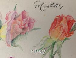 Old Board of Original Drawings Botanical Flower Studies Signed (6)