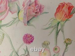 Old Board of Original Drawings Botanical Flower Studies Signed (6)