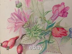 Old Board of Original Drawings Botanical Flower Studies Signed (6)