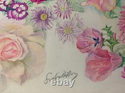 Old Board of Original Drawings Botanical Flower Studies Signed (7)