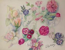 Old Board of Original Drawings Botanical Flower Studies Signed (8)