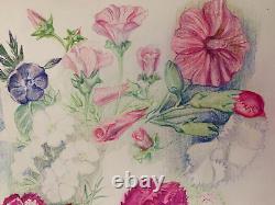 Old Board of Original Drawings Botanical Flower Studies Signed (8)