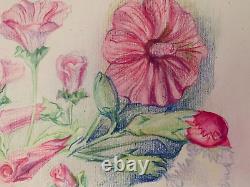 Old Board of Original Drawings Botanical Flower Studies Signed (8)