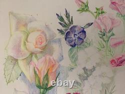 Old Board of Original Drawings Botanical Flower Studies Signed (8)