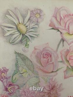 Old Board of Original Drawings Studies of Botanical Flowers Signed (18)