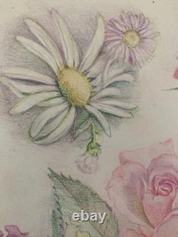 Old Board of Original Drawings Studies of Botanical Flowers Signed (18)