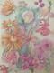 Old Original Drawing Board Botanical Flower Studies Signed (15)