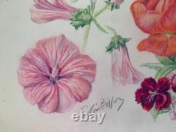 Old Original Drawing Plate, Botanical Flower Studies, Signed (1)