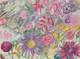 Old Original Drawing Plate Botanical Flower Studies Signed (12)