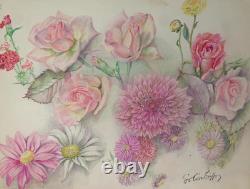 Old Original Drawing Plate Botanical Flower Studies Signed (5)