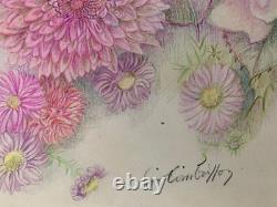 Old Original Drawing Plate Botanical Flower Studies Signed (5)