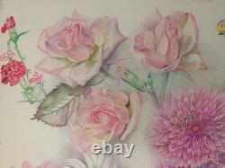 Old Original Drawing Plate Botanical Flower Studies Signed (5)