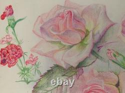 Old Original Drawing Plate Botanical Flower Studies Signed (5)