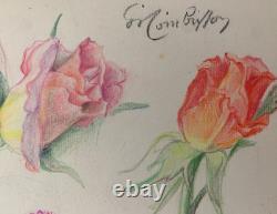 Old Original Drawing Plate, Botanical Flower Studies, Signed (6)
