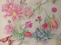 Old Original Drawing Plate, Botanical Flower Studies, Signed (6)