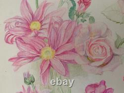 Old Original Drawing Plate, Botanical Flower Studies, Signed (6)