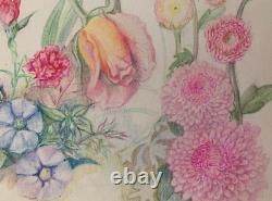 Old Original Drawing Plate, Botanical Flower Studies, Signed (6)