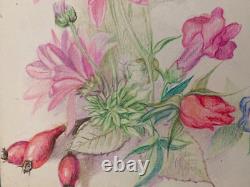 Old Original Drawing Plate, Botanical Flower Studies, Signed (6)