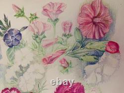 Old Original Drawing Plate Botanical Flower Studies Signed (8)