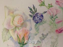 Old Original Drawing Plate Botanical Flower Studies Signed (8)