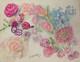 Old Original Drawing Sheet Botanical Flower Studies Signed (7)