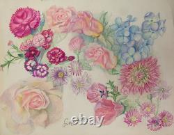 Old Original Drawing Sheet Botanical Flower Studies Signed (7)