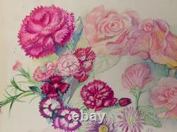 Old Original Drawing Sheet Botanical Flower Studies Signed (7)