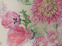 Old Original Drawing Sheet Botanical Flower Studies Signed (7)