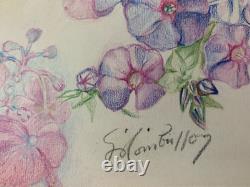 Old Plate of Original Drawings, Botanical Flower Studies, Signed (11)