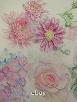 Old Plate of Original Drawings, Botanical Flower Studies, Signed (11)