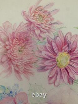 Old Plate of Original Drawings, Botanical Flower Studies, Signed (11)