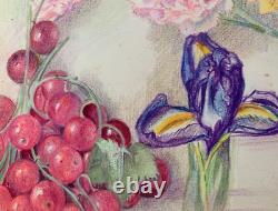 Old Plate of Original Drawings Botanical Flower Studies Signed (13)