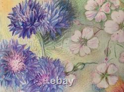 Old Plate of Original Drawings Botanical Flower Studies Signed (13)