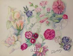 Old Plate of Original Drawings Botanical Flower Studies Signed (8)