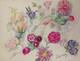 Old Plate Of Original Drawings Botanical Flower Studies Signed (8)