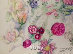 Old Plate of Original Drawings Botanical Flower Studies Signed (8)