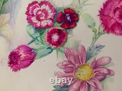Old Plate of Original Drawings Botanical Flower Studies Signed (8)