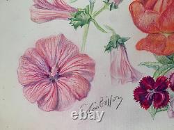 Old board of original botanical flower studies signed (1)