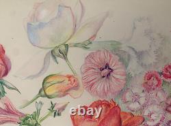 Old board of original botanical flower studies signed (1)