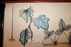 Old botanical board, original drawing, watercolor, dated 1938, 146x94 cm