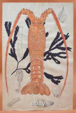 Original 20th-Century Drawings – 6 Plates of Seafood and Crustaceans