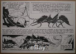 Original Board Drawing Comics Cartoon Patrice Greenhouses Ants B. Werber # 4