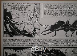 Original Board Drawing Comics Cartoon Patrice Greenhouses Ants B. Werber # 4