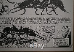 Original Board Drawing Comics Cartoon Patrice Greenhouses Ants B. Werber # 4