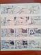 Original Comic Page Signed A. Zim. Little Robinson