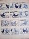 Original Comic Strip Page Signed A. Zim. Chickens. Eggs.